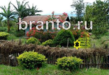 подсказки к игре Найди кота Уровень 1947