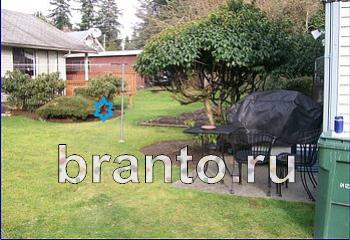 подсказки на игру Найди кота Уровень 1951