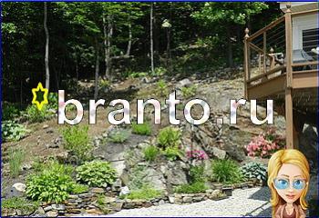 Найди кота игра ответы Уровень 1959