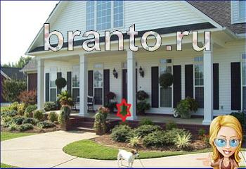 ответы на игру Найди кота Уровень 1962