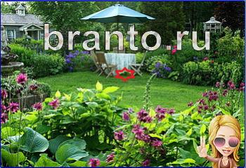 ответы на игру Найди кота Уровень 1982