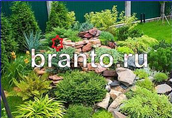 помощь на игру Найди кота Уровень 1983