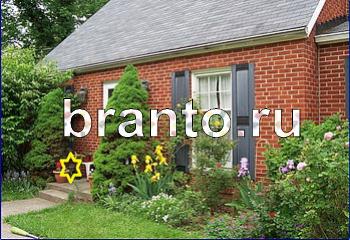 ответы на игру Найди кота Уровень 1984