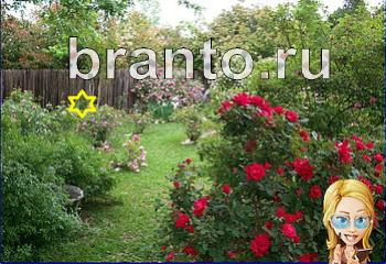 ответы на игру Найди кота Уровень 1988