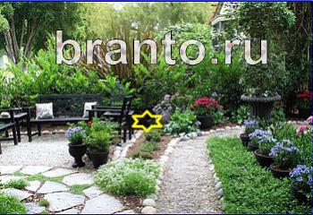 ответы на игру Найди кота Уровень 1989