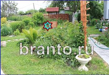 подсказки на игру Найди кота Уровень 1991