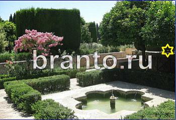 ответы на игру Найди кота Уровень 1995