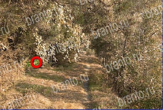 ключи на игру Найди кота Уровень 2687