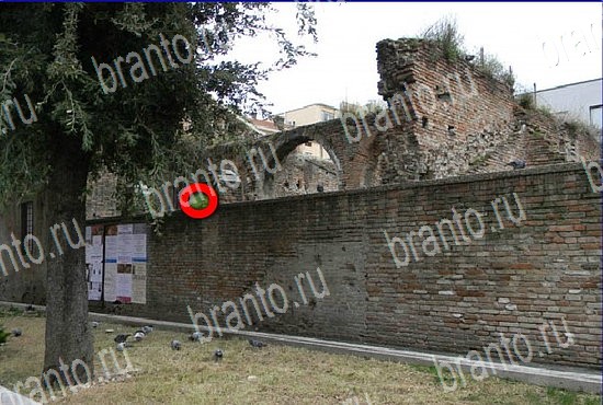 ответы на игру Найди кота Уровень 2697