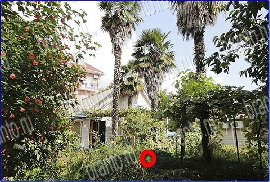 ответы на игру Найди кота Уровень 2704