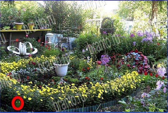 ответы на игру Найди кота Уровень 2705