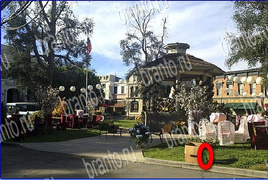 Игра Найди кота в Одноклассниках решения Уровень 2713