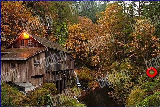 Игра Найди кота в Одноклассниках ответы Уровень 2717