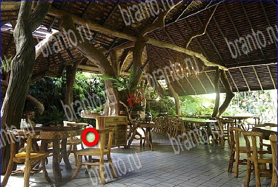 Найди кота игра в Одноклассниках помощь Уровень 2718