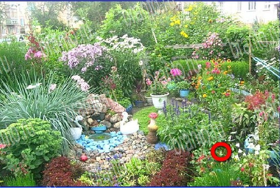 помощь на игру Найди кота Уровень 2724