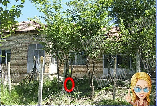 Найди кота игра ответы Уровень 2730