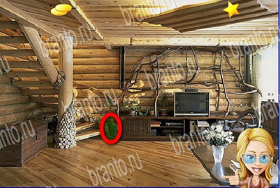 ответы на игру Найди кота Уровень 2732