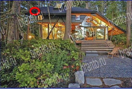 подсказки на игру Найди кота Уровень 2740