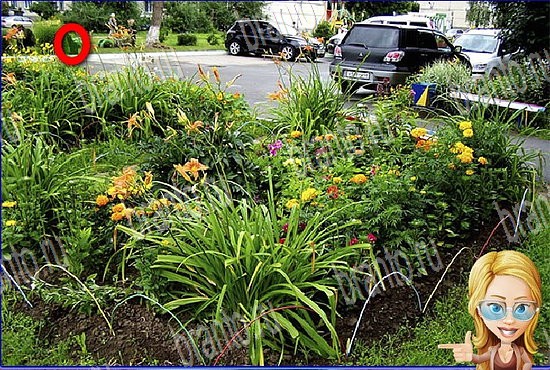 відповіді на игру Найди кота Уровень 2743