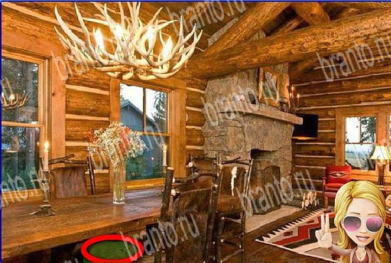 фотоответы на игру Найди кота Уровень 2746