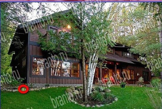 ключи на игру Найди кота Уровень 2748