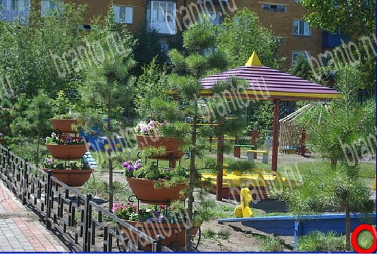 ответы на игру Найди кота Уровень 2750