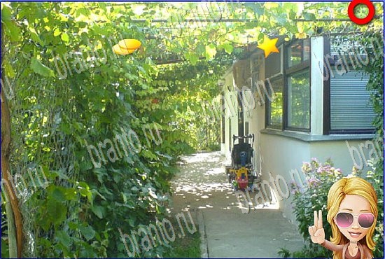 Игра Найди кота в Одноклассниках прохождение Уровень 2752