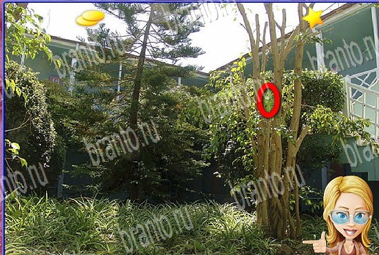 ответы на игру Найди кота Уровень 2755