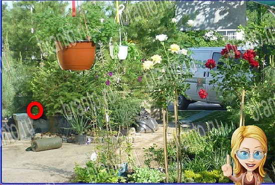 Найди кота игра в Одноклассниках помощь Уровень 2758