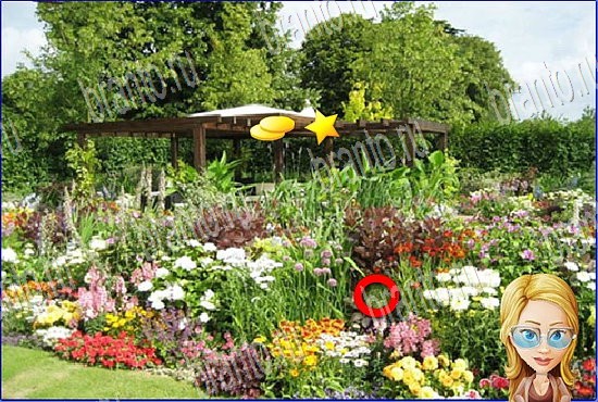 Найди кота игра в Одноклассниках подсказки Уровень 2759