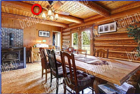 ключи на игру Найди кота Уровень 2767