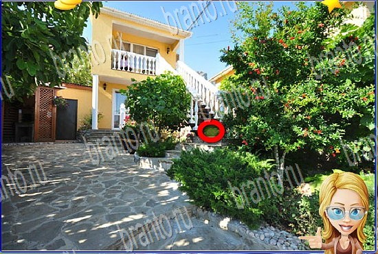 сборник ответов на игру Найди кота Уровень 2768