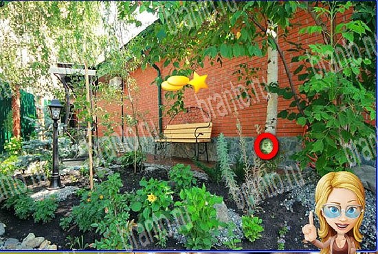 ответы на игру Найди кота Уровень 2775