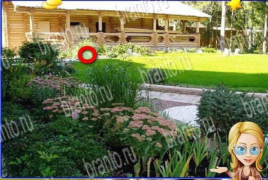 ответы на игру Найди кота Уровень 2778