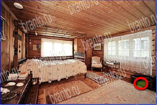 подсказки на игру Найди кота Уровень 2780