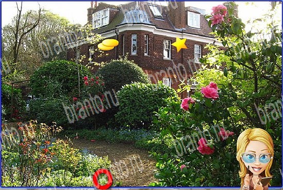 фотоответы на игру Найди кота Уровень 2786