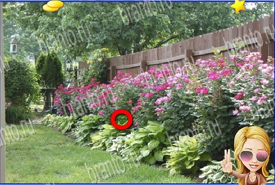 ответы на игру Найди кота Уровень 2787