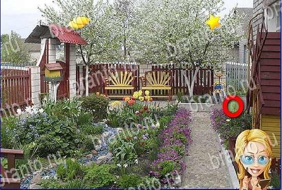 Игра Найди кота в Одноклассниках ключи Уровень 2791