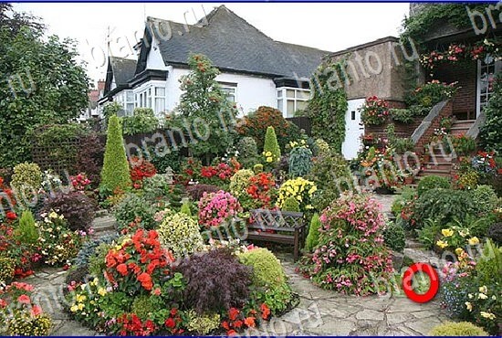 Игра Найди кота в Одноклассниках помощь Уровень 2794