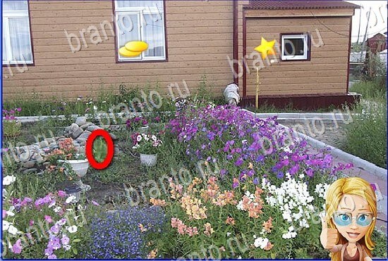 Игра Найди кота в Одноклассниках подсказки Уровень 2796