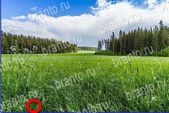 подсказки Найди кота Уровень 2802