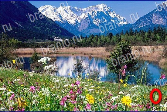 прохождение игры Найди кота Уровень 2805