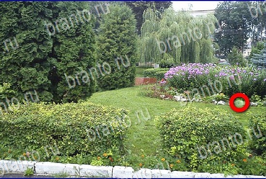 сборник ответов на игру Найди кота Уровень 2808