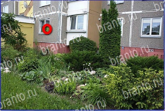 ответы на игру Найди кота Уровень 2812