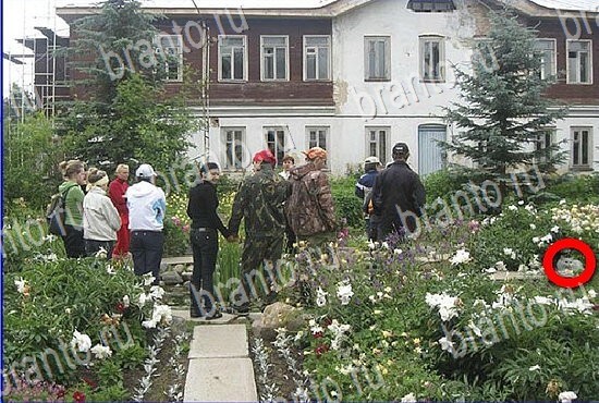 ответы на игру Найди кота Уровень 2813