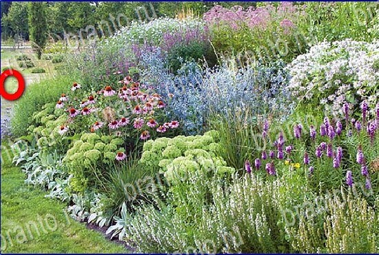 ответы на игру Найди кота Уровень 2814