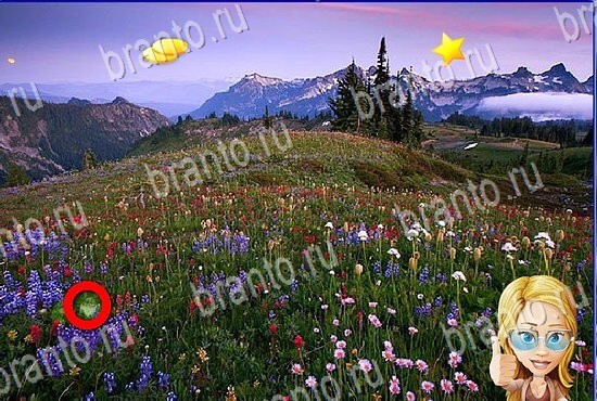 ответы на игру Найди кота Уровень 2817