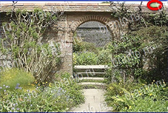 ответы на игру Найди кота Уровень 2825