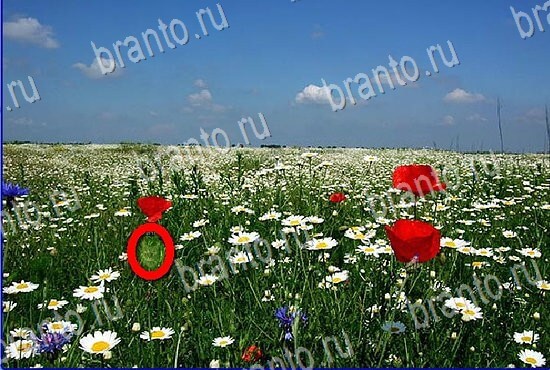 ключи на игру Найди кота Уровень 2828