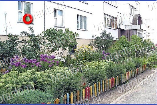 фото-ответы на игру Найди кота Уровень 2829